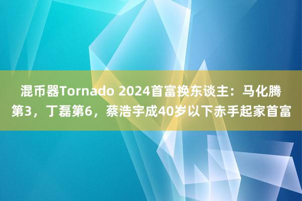 混币器Tornado 2024首富换东谈主：马化腾第3，丁磊第6，蔡浩宇成40岁以下赤手起家首富